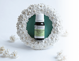 人間が本来もつ自然治癒力を高める